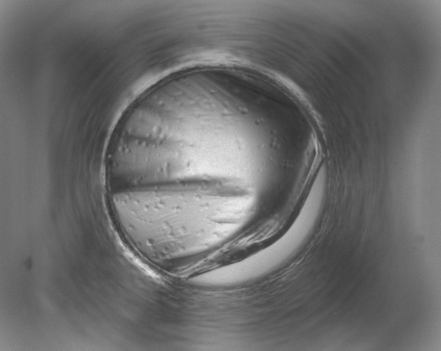 X0000080741335200701021137