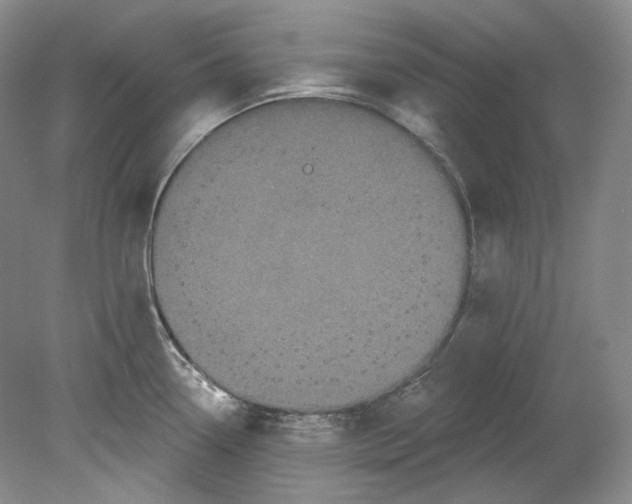 X0000080741338200701021137