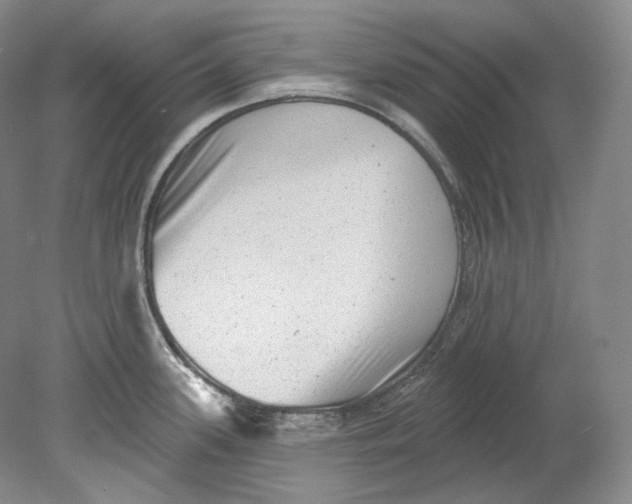 X0000080741339200701021137