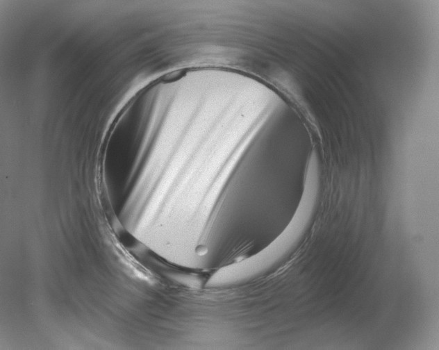 X0000080741340200701021137