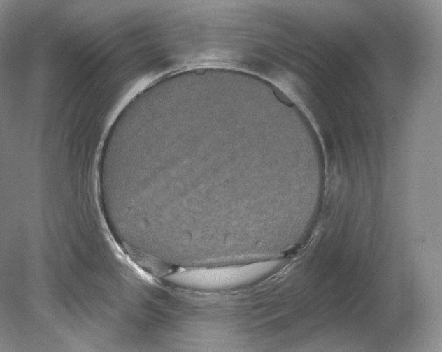 X0000080741341200701021137