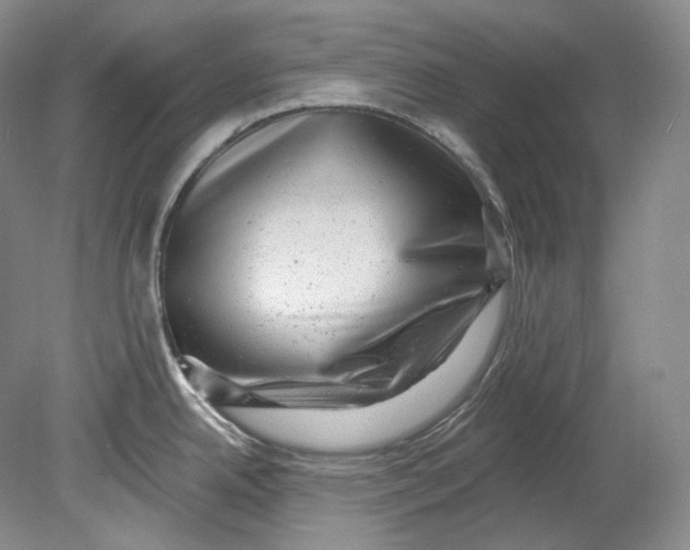 X0000080741342200701021137