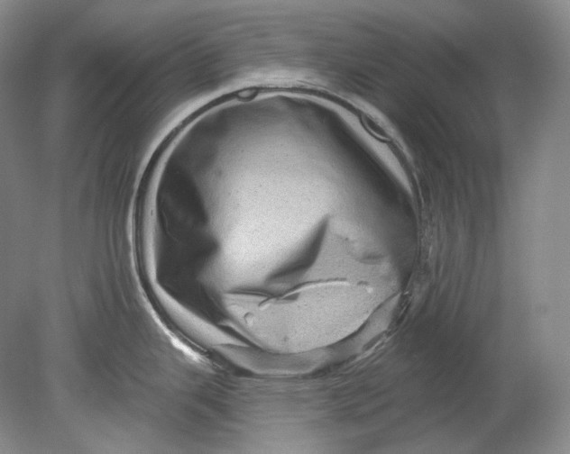 X0000080741343200701021137