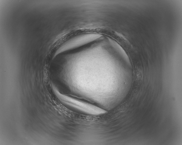 X0000080741350200701021136