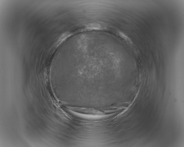 X0000080741353200701021136