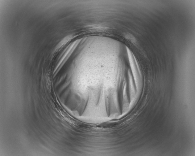 X0000080741354200701021136