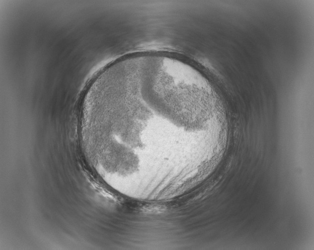 X0000080741358200701021136