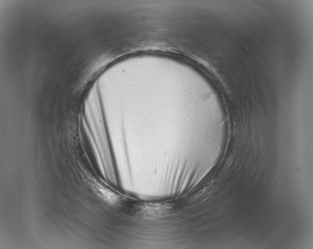 X0000080741359200701021136