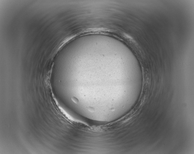 X0000080741361200701021136