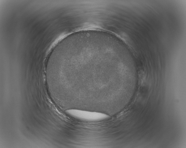 X0000080741363200701021136