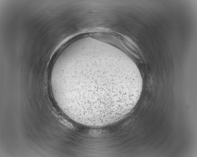 X0000080741364200701021136