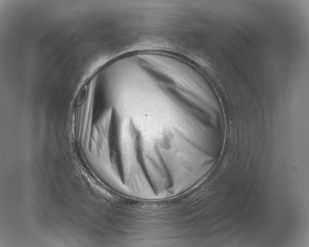 X0000080741366200701021136