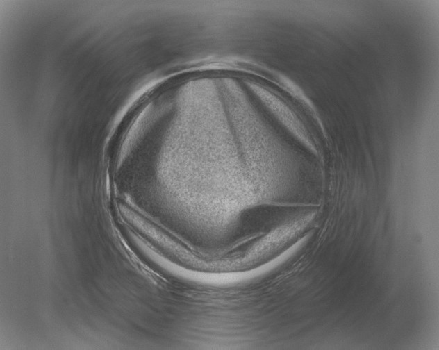 X0000080741368200701021136