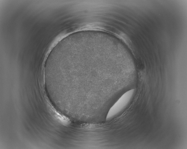 X0000080741371200701021136