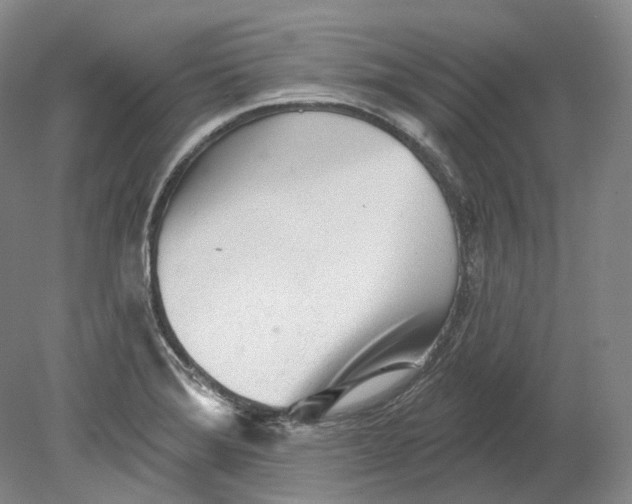 X0000080741372200701021136