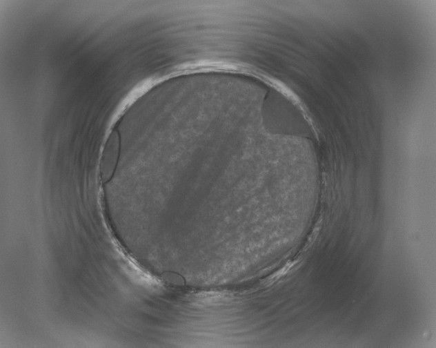 X0000080741373200701021136