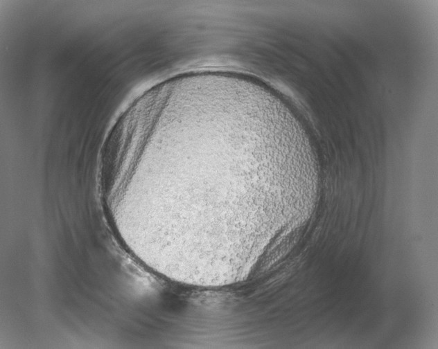 X0000080741374200701021135