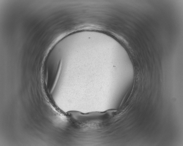 X0000080741375200701021135