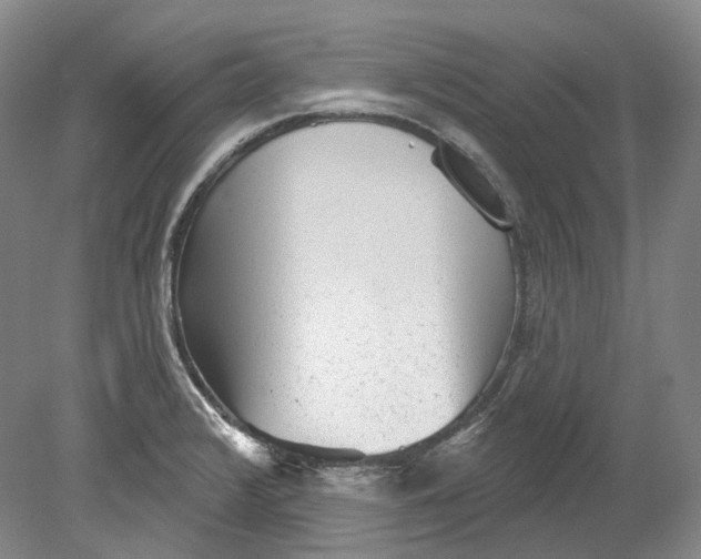 X0000080741376200701021135