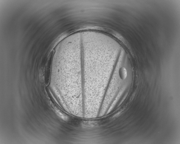 X0000080741377200701021135