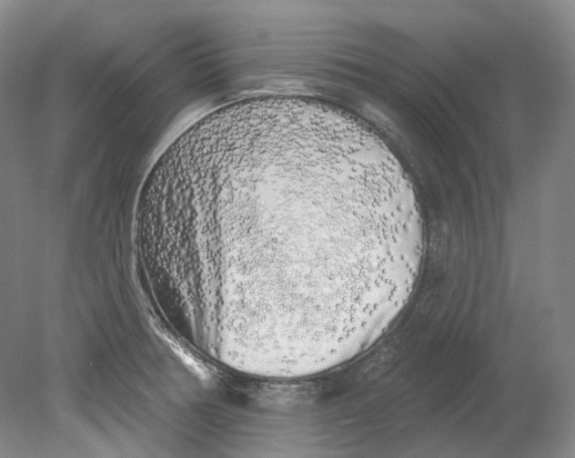 X0000080741378200701021135