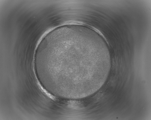 X0000080741379200701021135