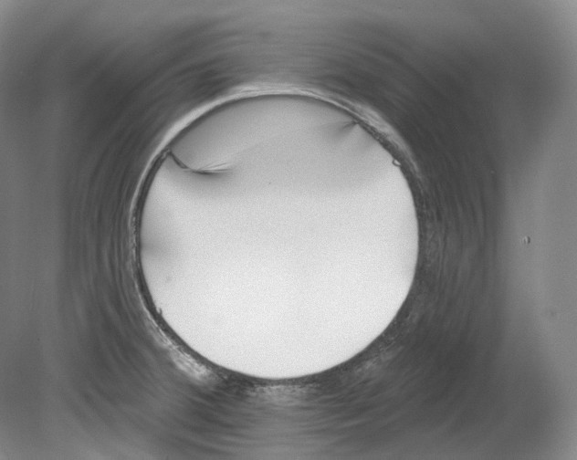 X0000080741380200701021135