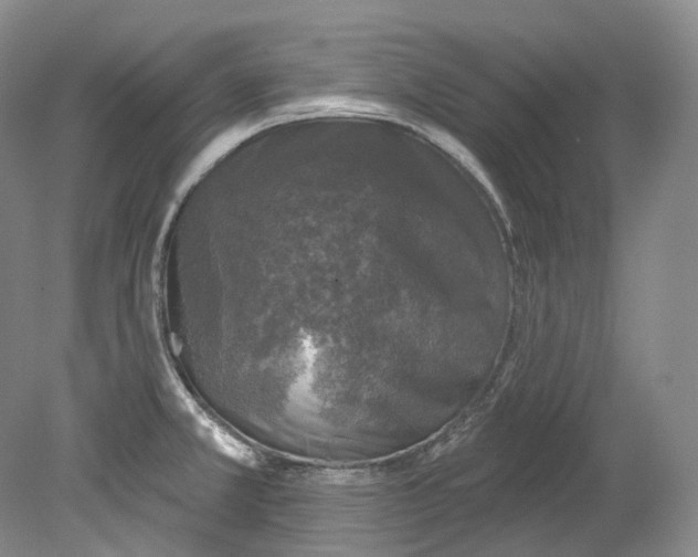 X0000080741381200701021135