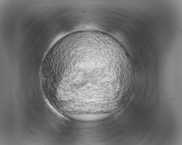 X0000080741382200701021135