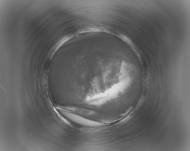 X0000080741385200701021135