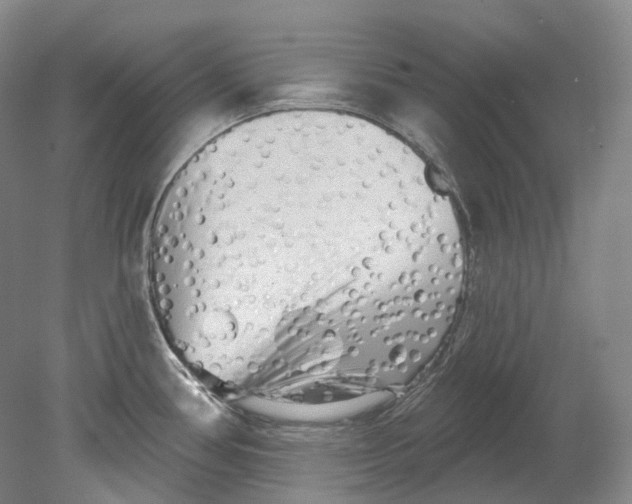 X0000080741386200701021135