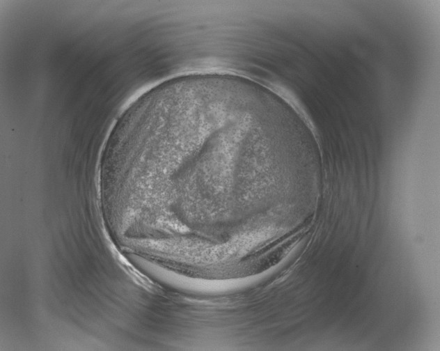 X0000080741388200701021135