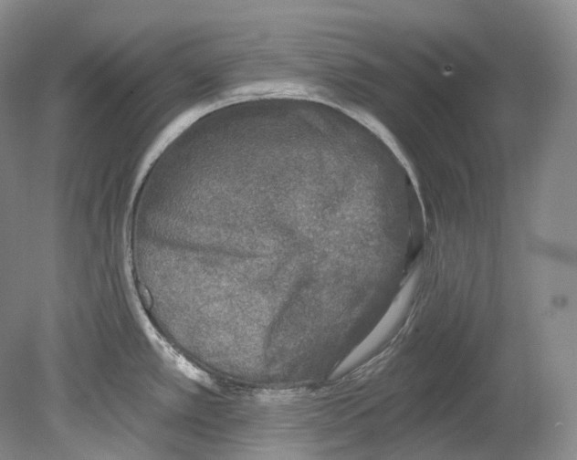 X0000080741389200701021135