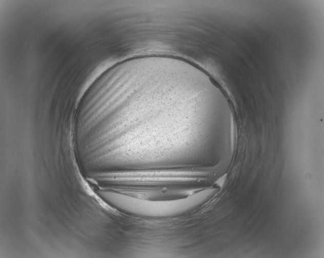 X0000080741390200701021135