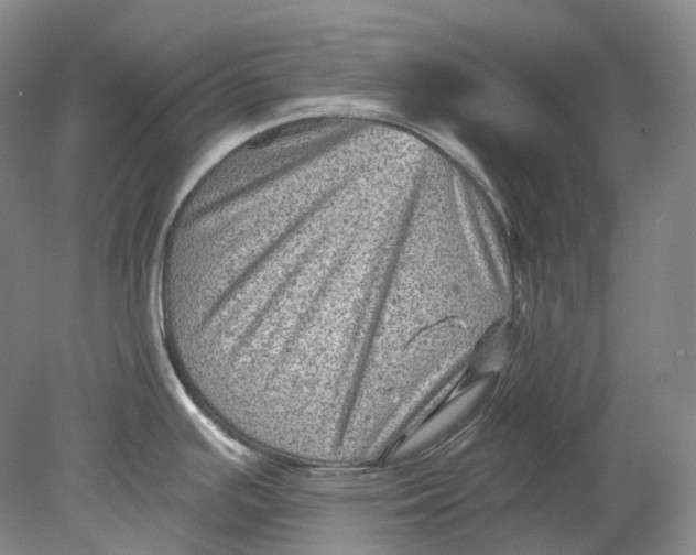 X0000080741391200701021135