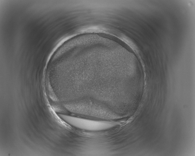 X0000080741392200701021135