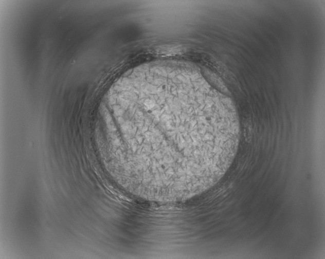 X0000080741393200701021134