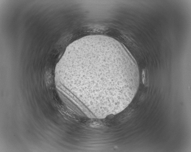 X0000080741395200701021134