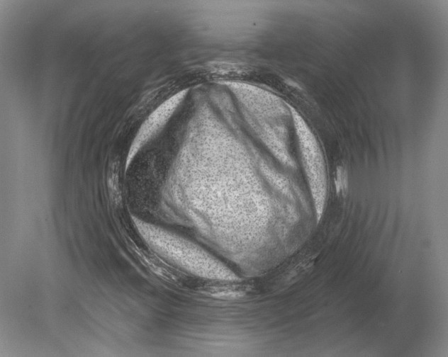 X0000080741396200701021134