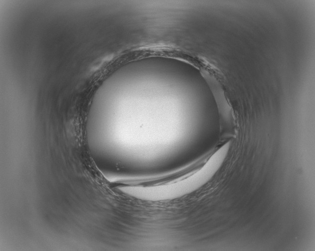 X0000080741398200701021134