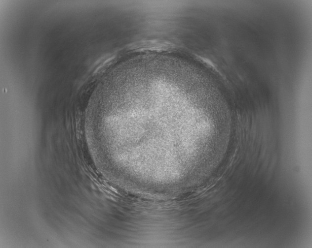 X0000080741399200701021134