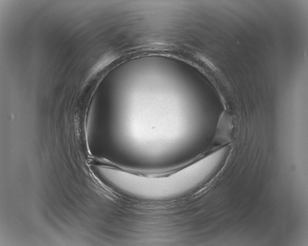 X0000080741402200701021135