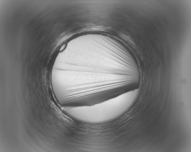 X0000080741404200701021135