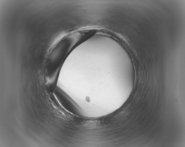 X0000080741406200701021135