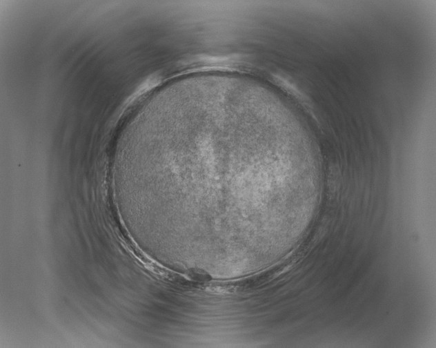 X0000080741411200701021135