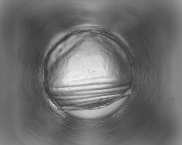 X0000080741413200701021135