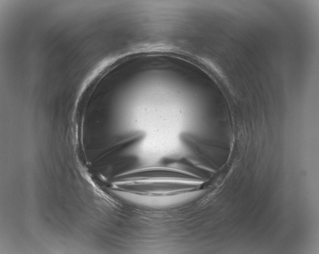 X0000080741414200701021135