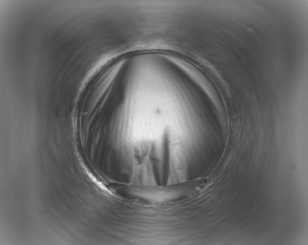 X0000080741416200701021135