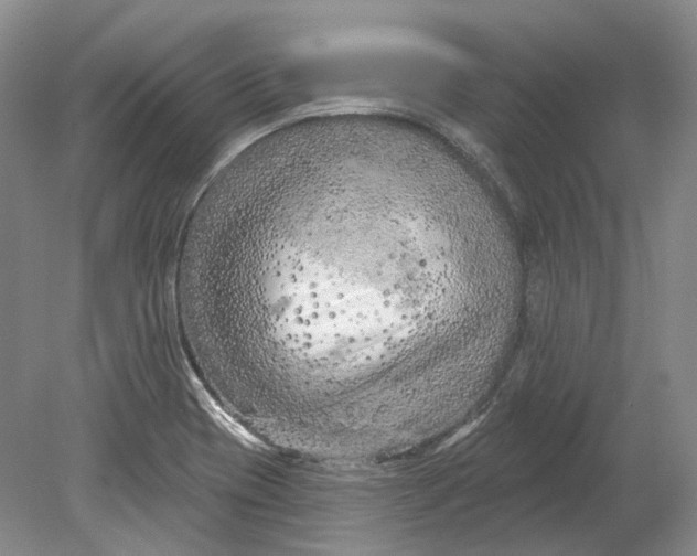 X0000080741417200701021135