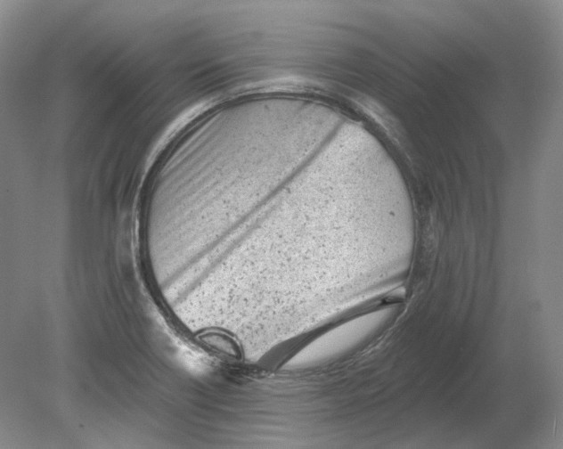 X0000080741418200701021135